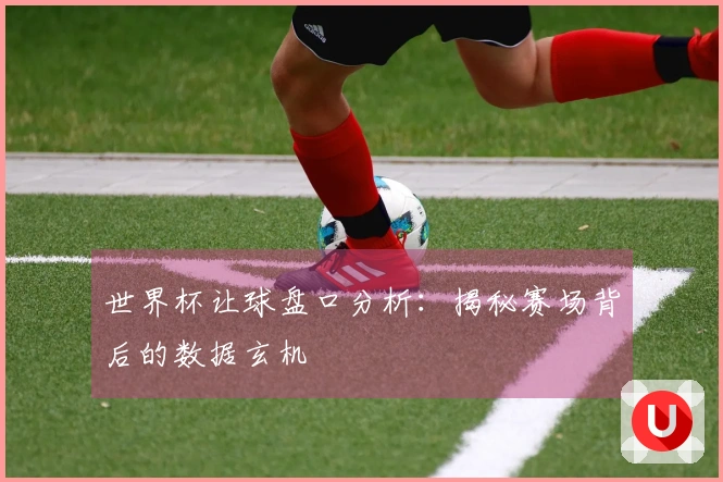 世界杯让球盘口分析：揭秘赛场背后的数据玄机