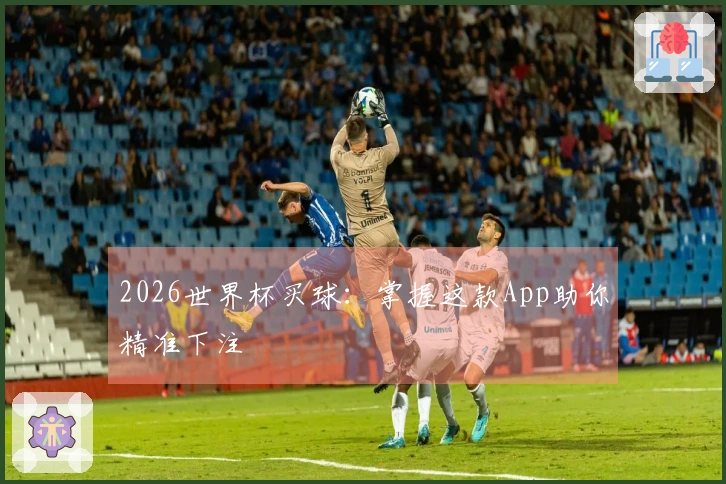 2026世界杯买球：掌握这款App助你精准下注