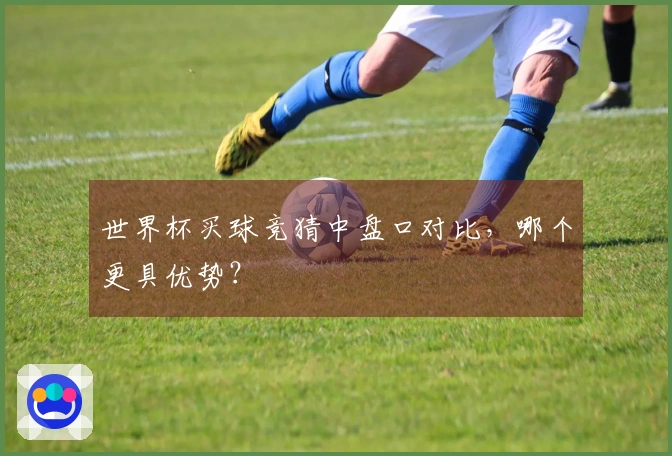 世界杯买球竞猜中盘口对比，哪个更具优势？