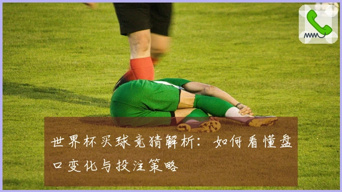 世界杯买球竞猜解析：如何看懂盘口变化与投注策略