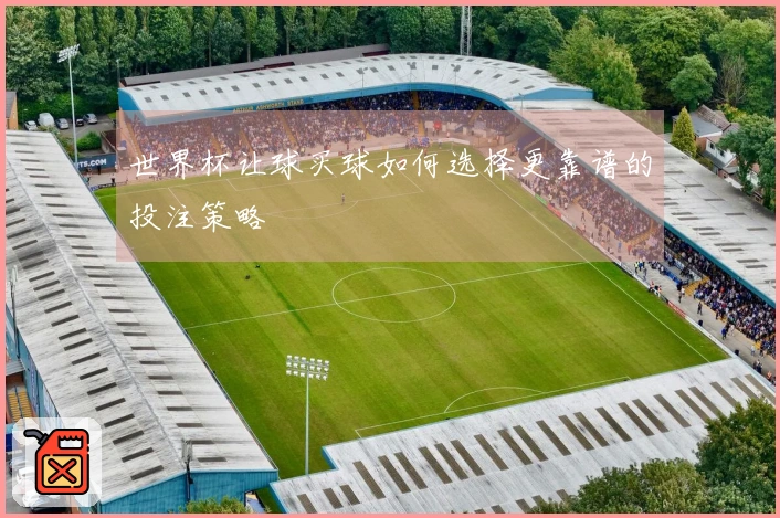 世界杯让球买球如何选择更靠谱的投注策略